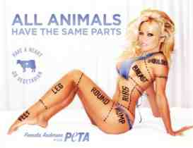 peta pamela anderson advert