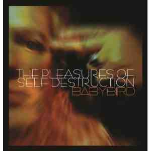 Pleasures Self Destruction Babybird