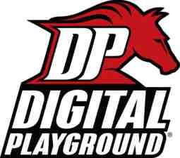 digital playground logo