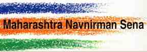 mns logo