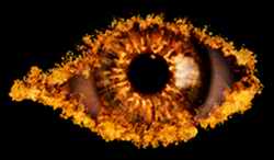 Celebrity Big Brother 2010