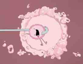 family guy abortion
