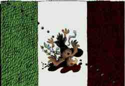 mexico shot eagle flag