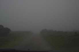 Foggy Bodmin Moor