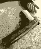 Gun