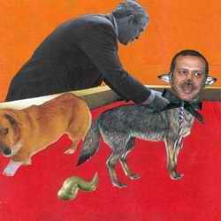 picture of dog with PM's head