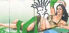 'Vulgar' hoarding